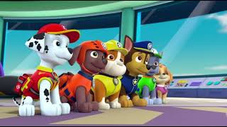 Paw Patrol Howling from Pup Save the Soccer Game screenshot 5