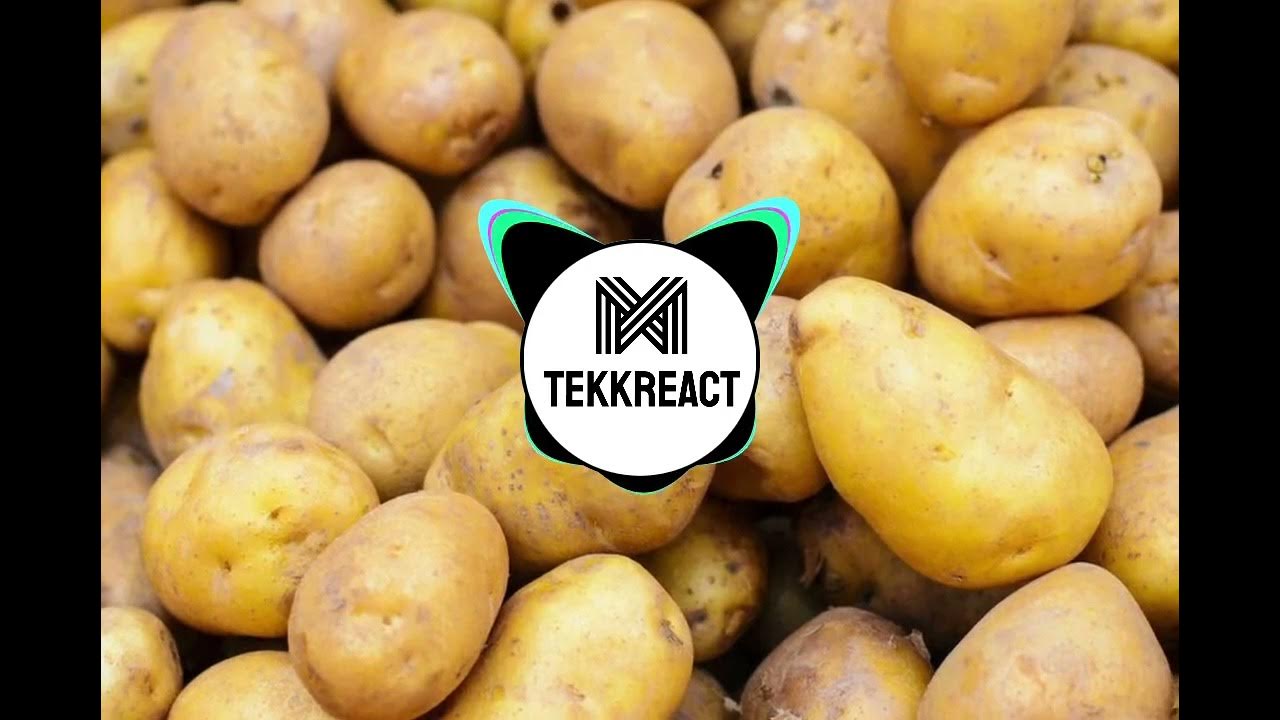 Quellkartoffel & Dupp Dupp (NoooN) YouTube