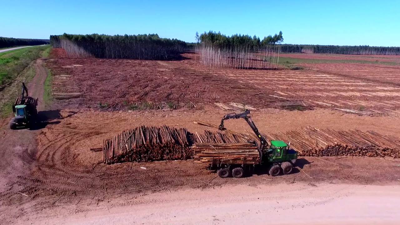 Capítulo 4 - Cosecha y Logísitica