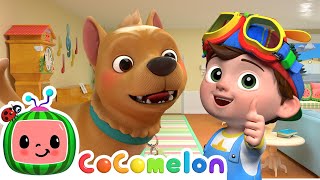 Bingo! | CoComelon Furry Friends | Animals for Kids