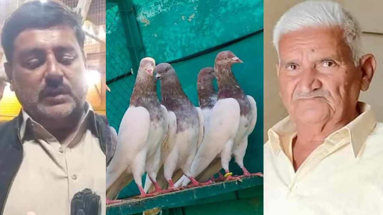 Ustad Hakim Dr. Abdul Ghani  late of  Nankana Sahib, Ustad Haider Abbas ki chat se pigeons