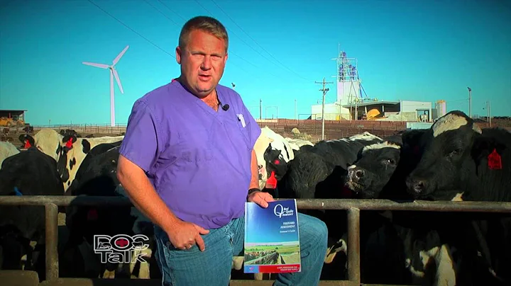 BQA BQA Certification