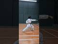 Taikyoku shodan 1st kata Shotokan #BeginnerKataDoneRight#FirstKataFlow#KaratePowerMoves#KataWithPowe