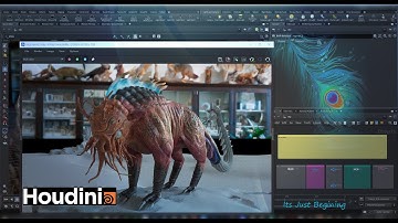 Houdini LookDev Set for beginners