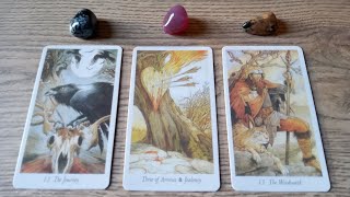 🌷HOW YOU THINK THEY FEEL VS HOW THEY ACTUALLY FEEL.🌷 PICK A CARD: 🩷TIMELESS LOVE TAROT🩷