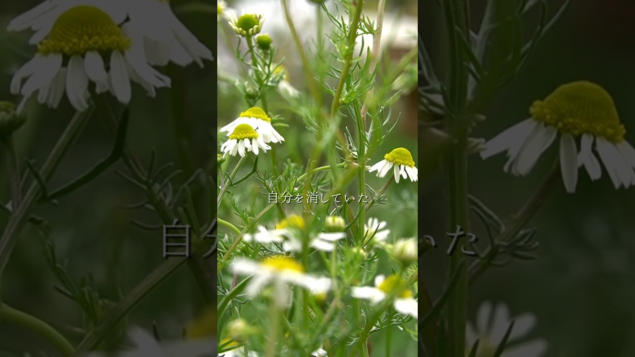 商品を売るために、自分を消していた。