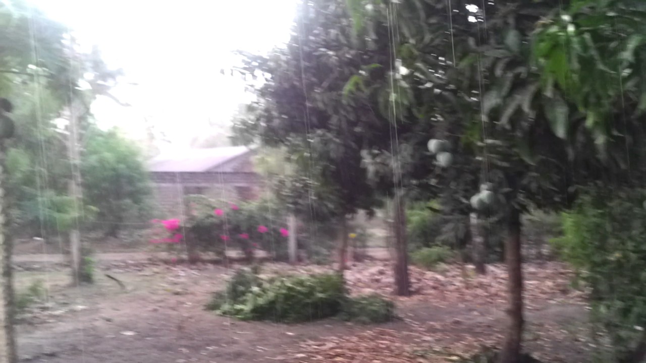 "I bless the rains down in Africa" - YouTube