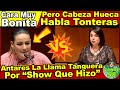 Sen. Antares llama Tanguera a Panista muy Bonita "Pero habla Puras Tonteras Cuando Sube a Tribuna"!!