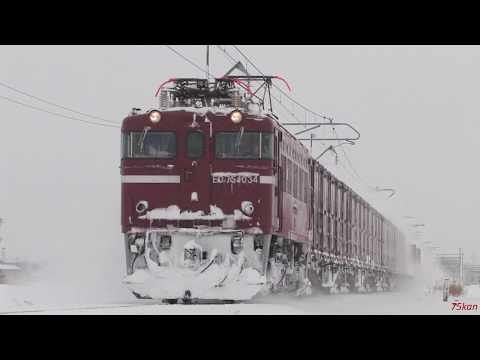 小羽 KD-808S18CSM-1024x624.jpg