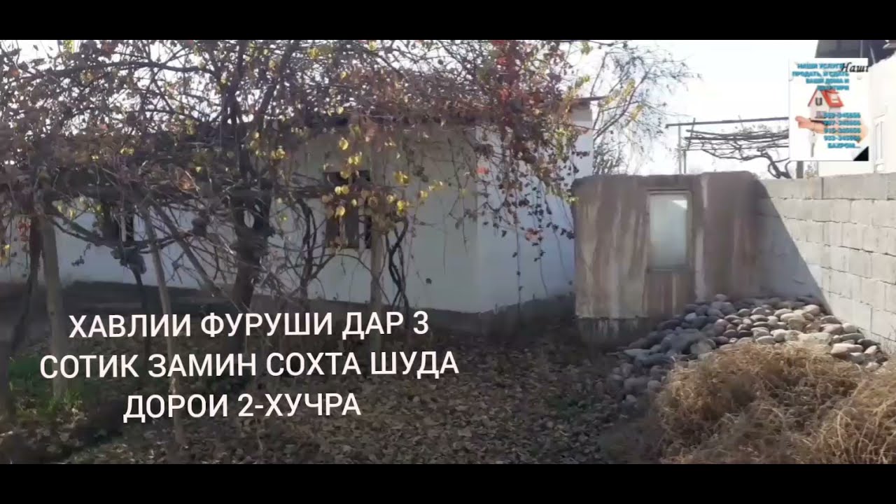 Сомон тч мотор фуруши Сомон тч мотор фуруши