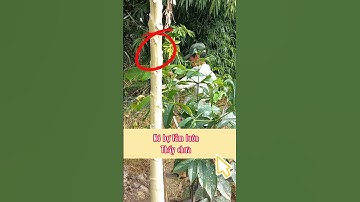 @câu rắn mối" một chổ hai con bữa nay bội thu rồi#