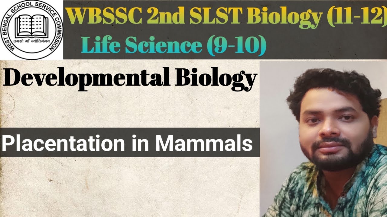 SLST Preparation । Developmental Biology। Placentation in Mammals #slst_preparation #slst #slstnews