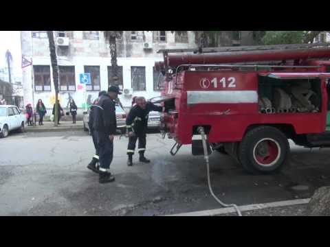 მეხანძრეებმა ხე გადაარჩინეს