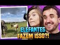 ESSE VÍDEO TEM 1 BILHÃO DE VIEWS!