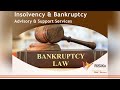 Insolvency & Bankruptcy Advisory & Support Services