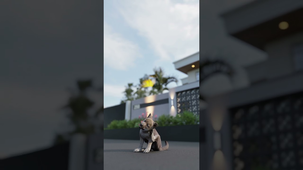 Animation - corona render 