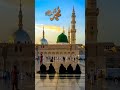 yah sab hai mere Kamali Wale Ka Sadka Mohammed Naat Kuchh Bhi Na Hota short video