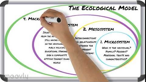 The Ecological Model