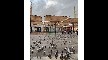 و أتل عليهم نبأ أبني آدم إذ قربا قربان فتقبل من أحدهما ولم يتقبل من الآخر بصوت السيد سعيد 