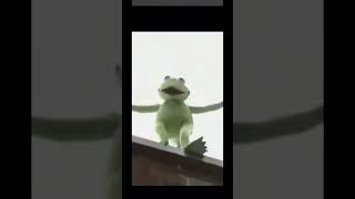 #fyp#memes #kermit#rip#funny