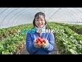 とちぎの農村めぐり(冬編ショートver)