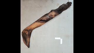 Making a Throwing Stick Part 1