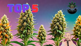 Meine Top 5 Lieblings Brokkoli Sorten🥦 !