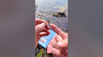 ALL Fisherman need this for Christmas 🎣🎁 #fishing #giftideas #fishinglures