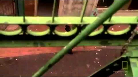 Inside The Chinatown Mafia The Secret World of The Triads  documentary english part 1