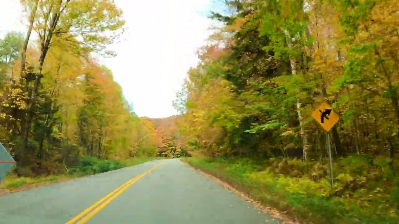 Beautiful Vermont Fall Foliage Mountain Drive. Bethel VT to Rochester VT via Bethel Mountain Road