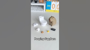 Pooping Capybara #capybara #toys #ornaments #creative #gift #shit #poop #cute #funny