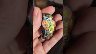 #26 Ammolite "Queen" 5 x 3 x 2cm 300$CAD