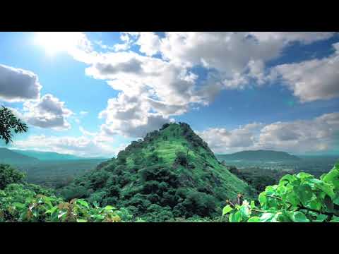 LA SELVA NEGRA (Exotica Remix) by Jim Stubblefield