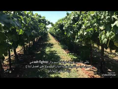 فيديو: كم تكلف مزرعة العنب في ولاية كاليفورنيا؟