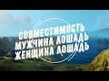 Совместимость мужчина Лошадь и женщина Лошадь