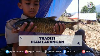 Download lagu BAHASA DAERAH | Warga Lubuk Sikaping Gelar Tradisi Ikan Larangan