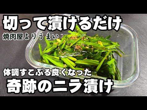 刻んで漬けるだけ簡単！奇跡の無限ニラ漬けの作り方
