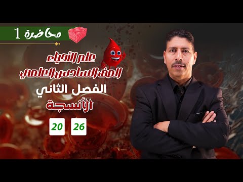 المحاضرة الأولى الفصل الثاني الأنسجة