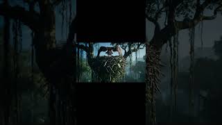 Life 500,000 Years Ago  Man vs Eagle – A Fight for Survival