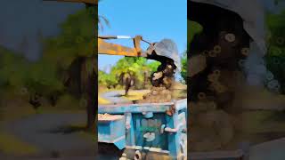 #viralvideo #newreels #jcbvideo #jcblovers
