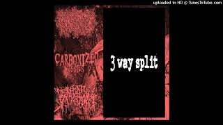 V.A - 3 way split (Full split vomitnoise)