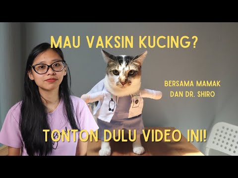 Video: Rekomendasi Vaksin Kucing