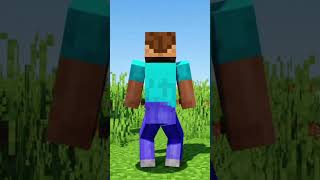 steve twork