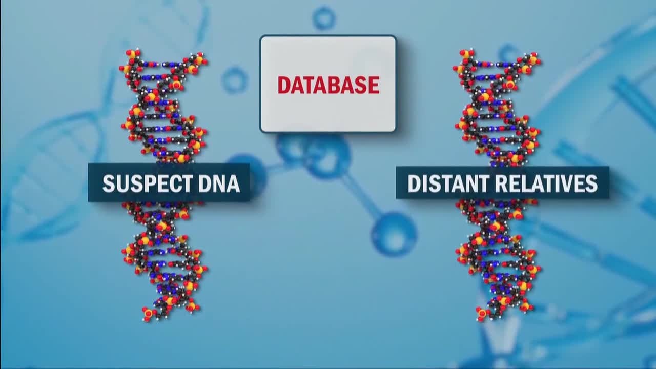 DNA company policy changes could affect cold case crime solving - YouTube
