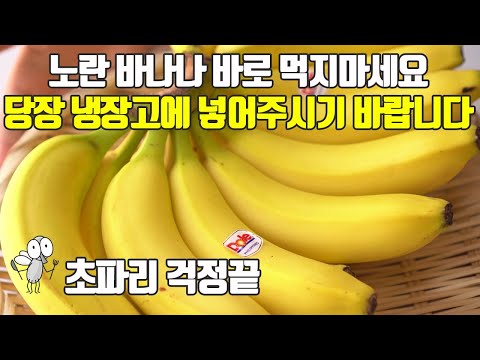 Banana everything what you need to know (purchase tips, washing, effects, keep,eat)