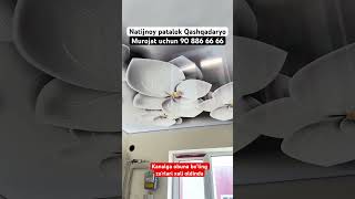 Natijnoy patalok Qashqadaryo +998 90 886 66 66