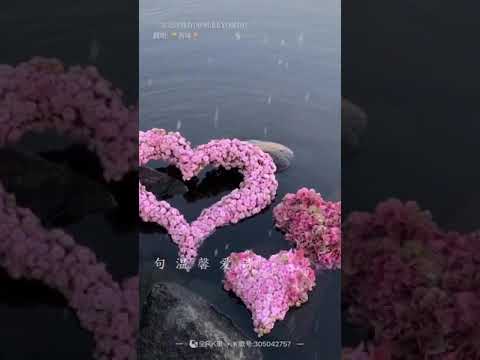 完全的擁有《歲月無聲》的日子