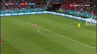 FIFA World Cup 2018 Switzerland - Serbia | 90' Shaqiri turns the Game! Swiss Commentator goes crazy!