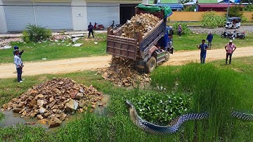 Wonderful New PROJECT!! Start Landfill Delete Flooded Pond Use Dozer D20p Pushing Stone & 5ton Truck