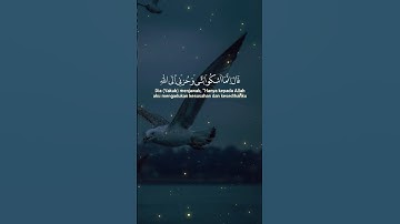 القرآن الكريم تلاوة خاشعة #اكسبلور #السعودية #duet